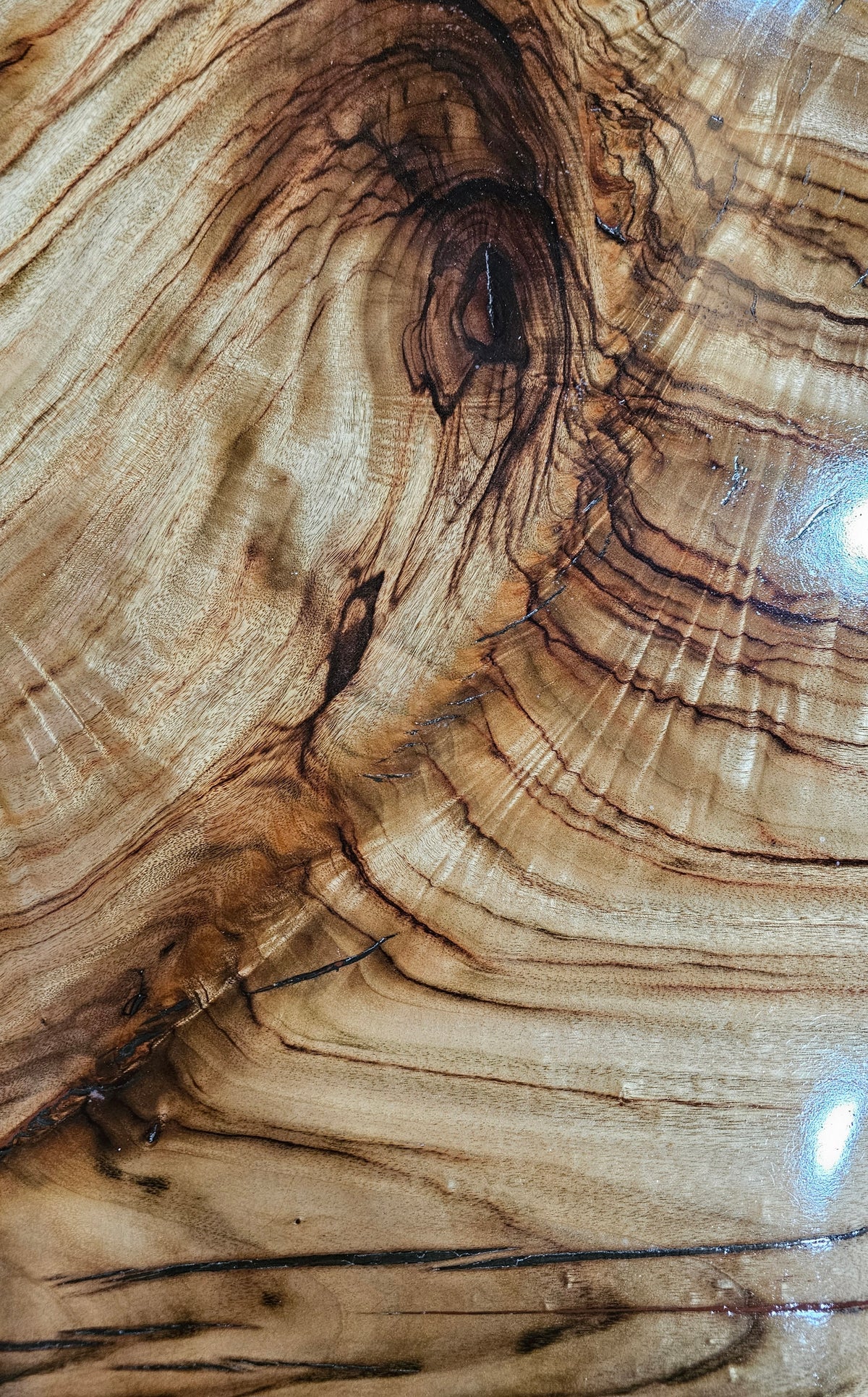 Handcrafted Camphor Laurel Live Edge Resin Coffee Table — Black Steel Base
